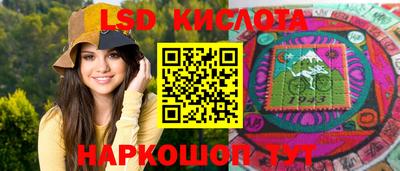 шишки Кандалакша