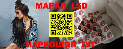 шишки Кандалакша