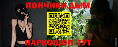 шишки Кандалакша