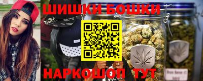 шишки Кандалакша