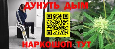 шишки Кандалакша
