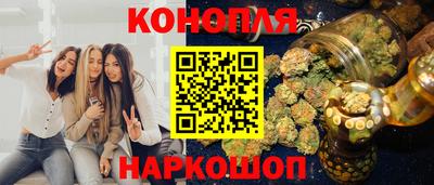 шишки Кандалакша