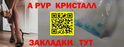 шишки Кандалакша
