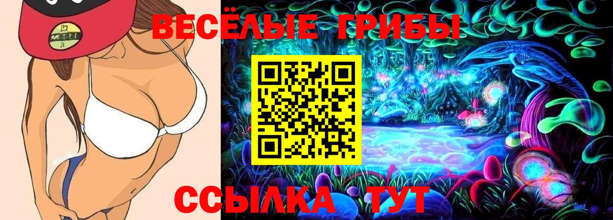 Галлюциногенные грибы прущие грибы Лесной
