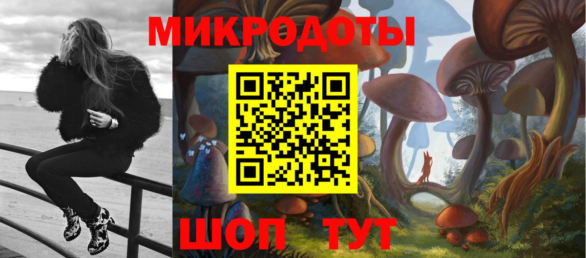 Псилоцибиновые грибы ЛСД  Галлюциногенные грибы Psilocybine cubensis  Лесной  купить  сайты  Вход с VPN 
